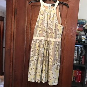 BCBCMaxAzria Floral Dress. Earth tones. Size 8.